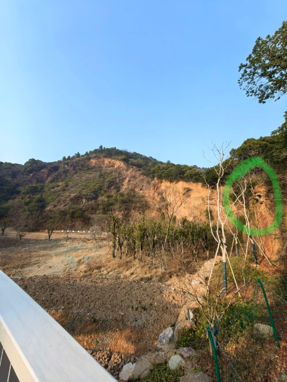 照片曝光!杭州此地发现大量古墓残骸 藏在山体隐蔽处 照片曝光!杭州此地发现大量古墓残骸 藏在山体隐蔽处
