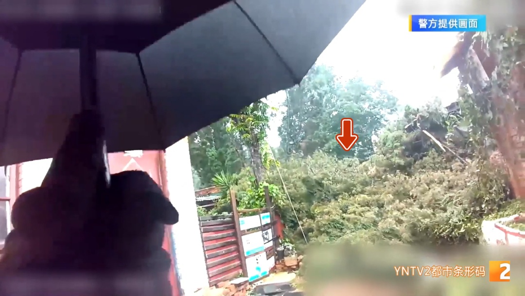 家门被倾倒大树死死堵住！昆明一对母女被困屋内无法出门，多方合力一小时移开枝干！