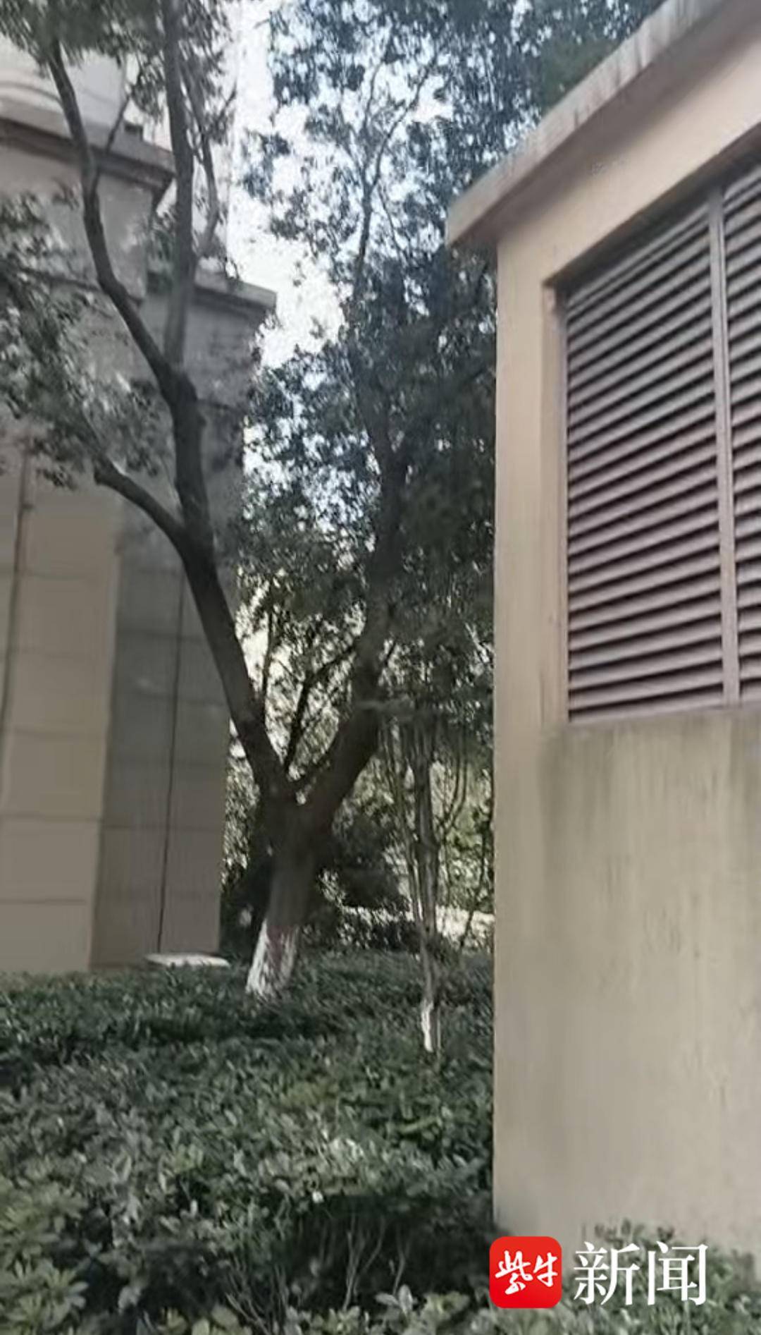 20岁女孩疑与男友吵架从18楼坠落奇迹生还，家属发声：人已苏醒做完笔录，男友欲闯病房