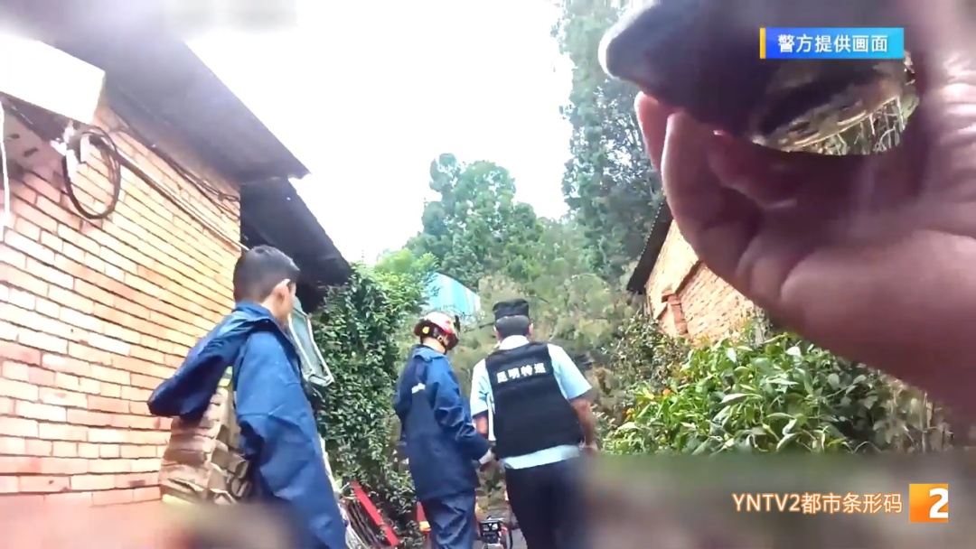 家门被倾倒大树死死堵住！昆明一对母女被困屋内无法出门，多方合力一小时移开枝干！
