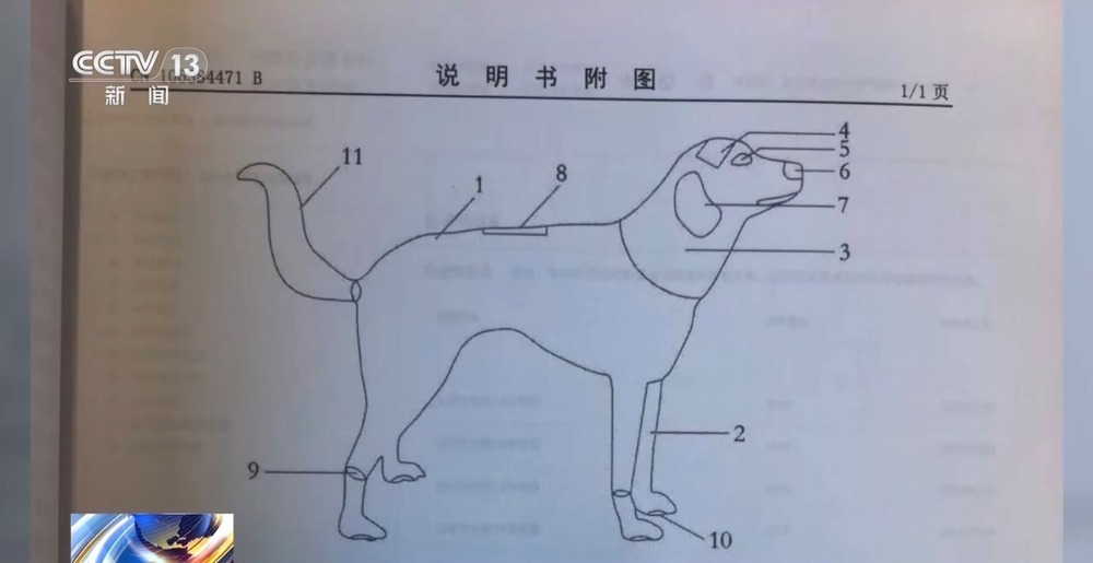 法治在线丨“专利碰瓷”盯上具身智能企业 法院判了 法治在线丨“专利碰瓷”盯上具身智能企业 法院判了