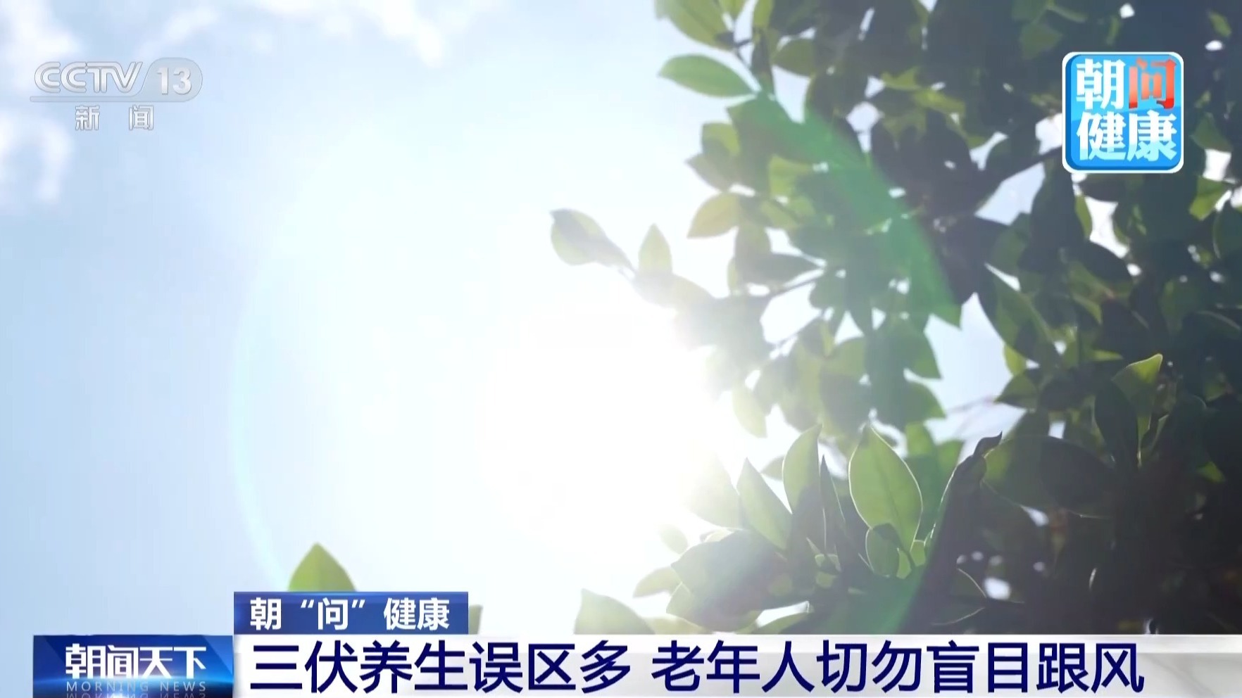 老年人夏季如何保护心脑血管 专家提醒避开这些养生误区 老年人夏季如何保护心脑血管 专家提醒避开这些养生误区