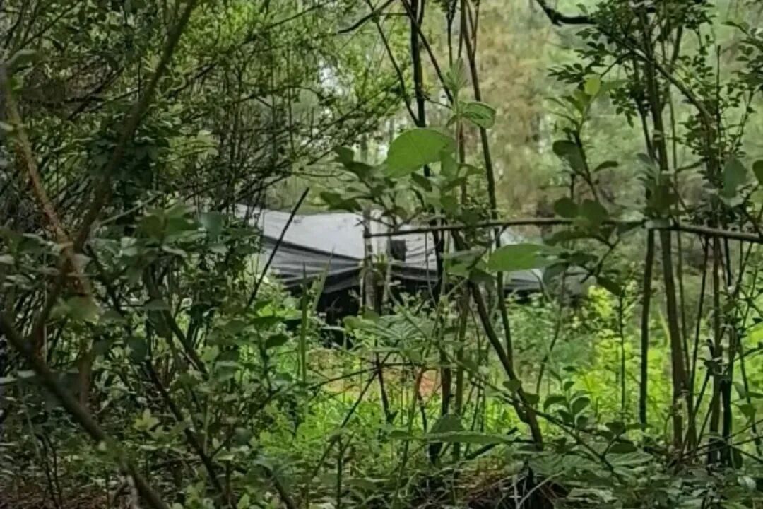 深山老林里,昆明警方一下抓了42人! 深山老林里,昆明警方一下抓了42人!