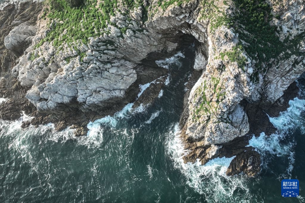美丽中国丨探访辽宁大连长山群岛候鸟栖息地 美丽中国丨探访辽宁大连长山群岛候鸟栖息地
