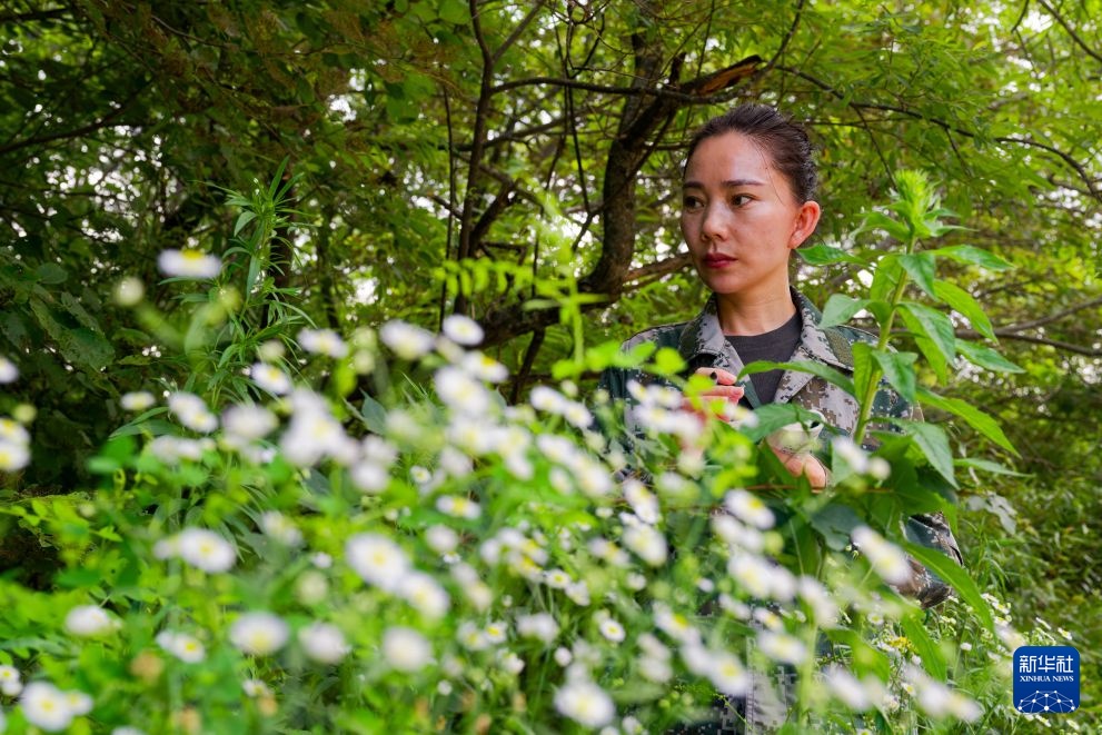镜头连中外丨中肯女子巡护员生态守护故事