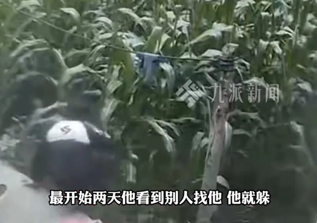 11岁男孩被奶奶责怪后负气离家，跳进玉米地后消失。6天后被警犬发现…