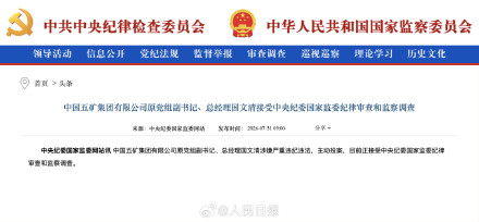 国文清接受审查调查 国文清接受审查调查