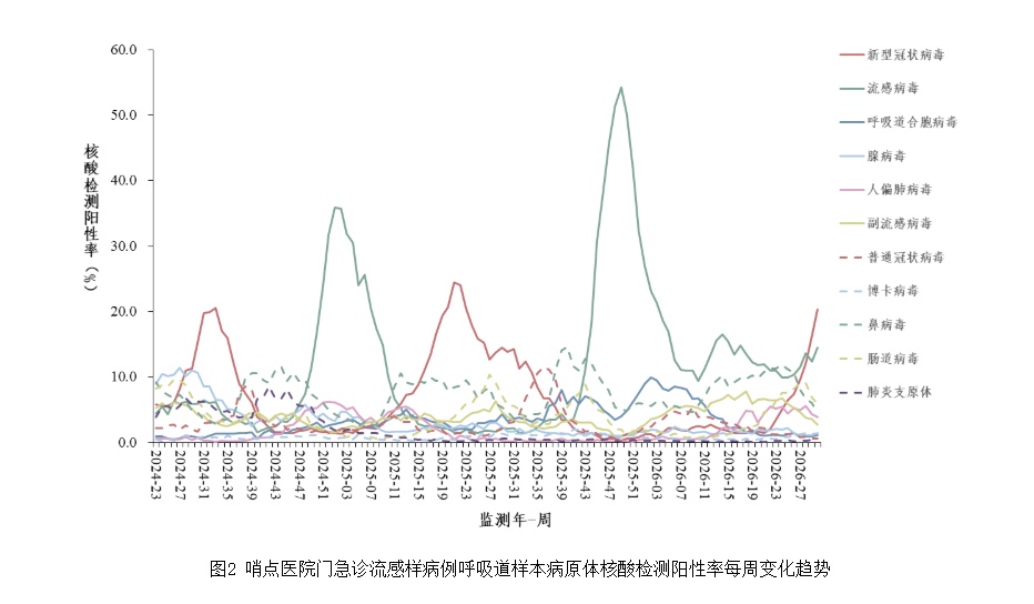 中疾控：新冠阳性率呈上升趋势，总体上处于中流行水平