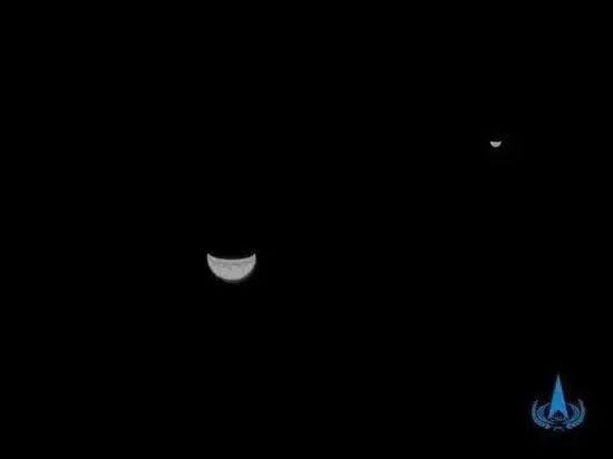 “我已经是看过最多星星的一只兔子了” “我已经是看过最多星星的一只兔子了”