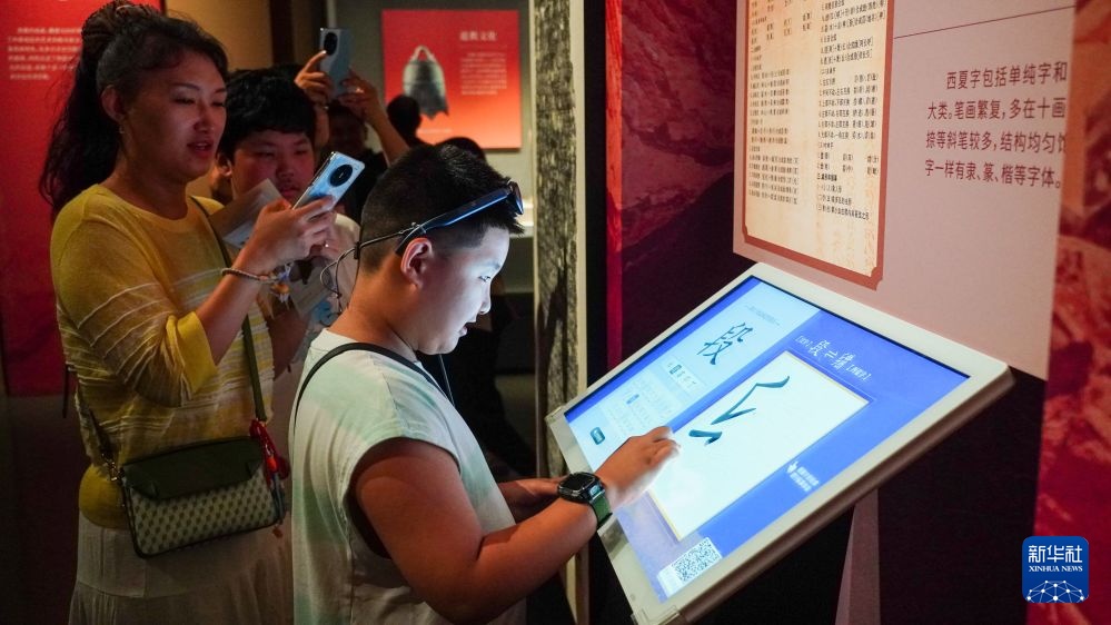 “西北有高楼——西夏历史文化展”在山东博物馆举办