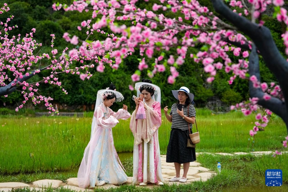 云南普者黑夏日引客来
