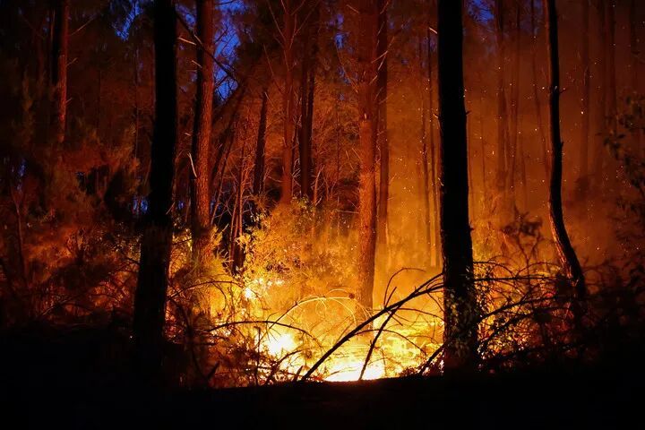 巨响震耳欲聋，法国野火引爆二战弹药库