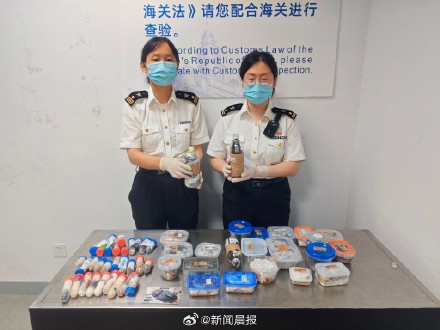 上海海关三年来截获外来物种510种次，查获“异宠”近2.2万只