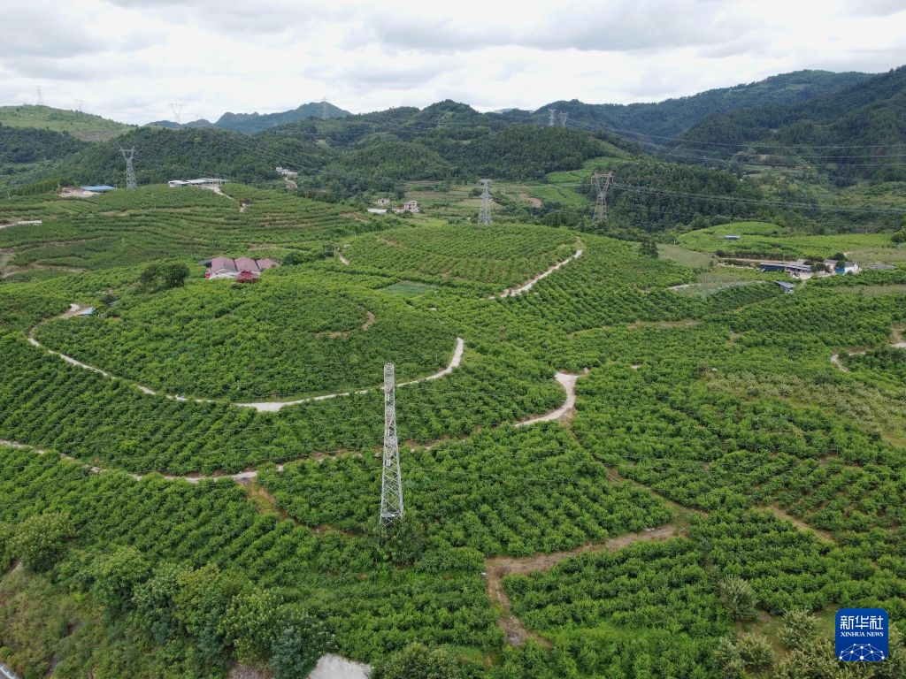 长征精神新画卷丨贵州施秉:红色文化赋能高质量发展 长征精神新画卷丨贵州施秉:红色文化赋能高质量发展