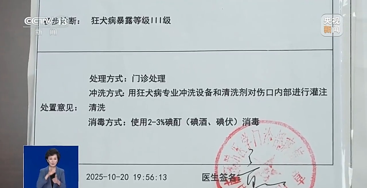 孩子店内逗猫被咬伤,责任谁来担?法院判了 孩子店内逗猫被咬伤,责任谁来担?法院判了