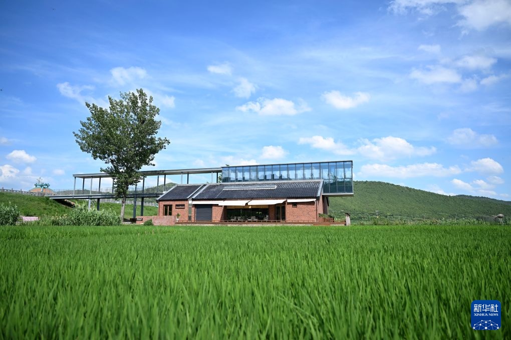 稻田图书馆激活乡村消费新场景
