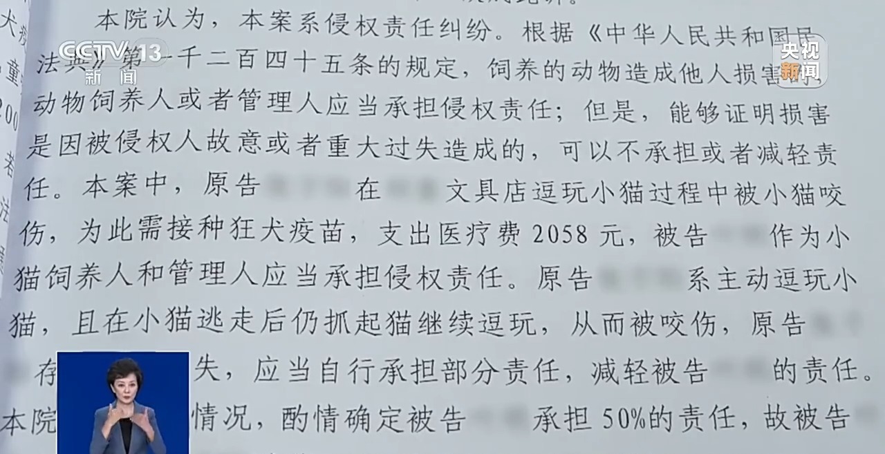 孩子店内逗猫被咬伤,责任谁来担?法院判了 孩子店内逗猫被咬伤,责任谁来担?法院判了