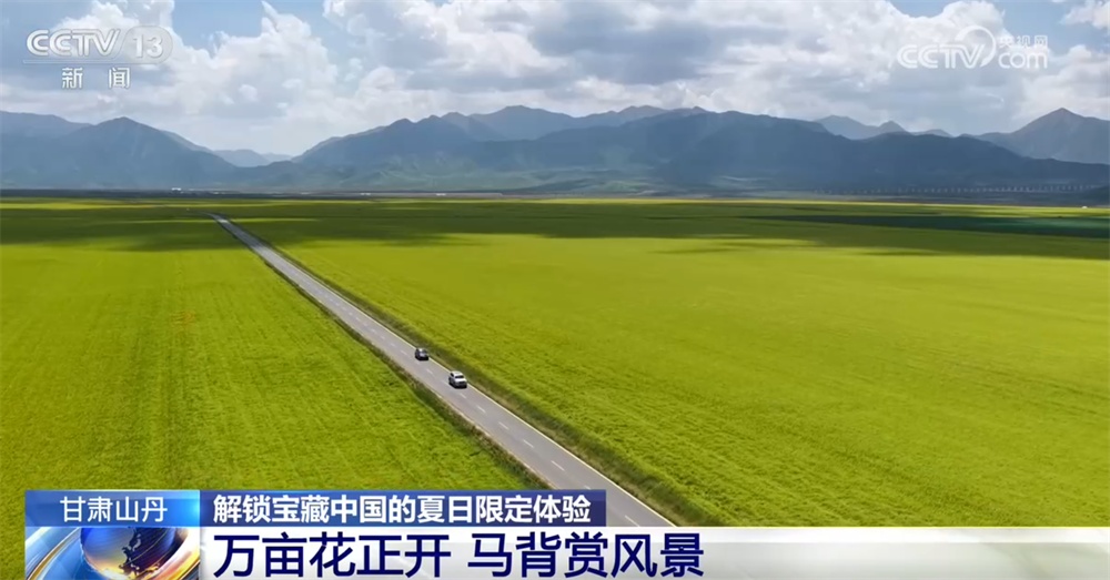 夏日“宝藏秘境”解锁限定体验 满目盛夏风情皆是出游佳选 你心动了吗？