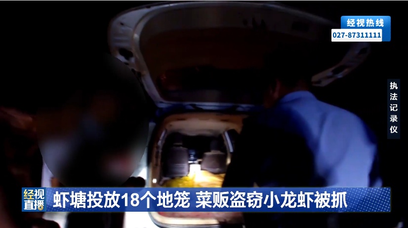 湖北黄冈一菜贩深夜偷小龙虾牟利，虾塘投放18个地笼，共盗窃10余斤！警方：已行拘