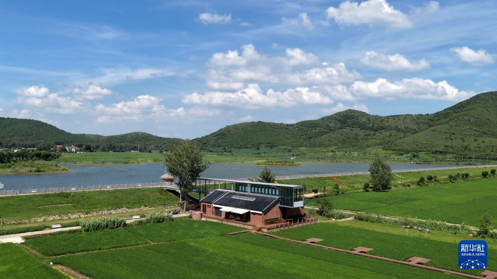 稻田图书馆激活乡村消费新场景