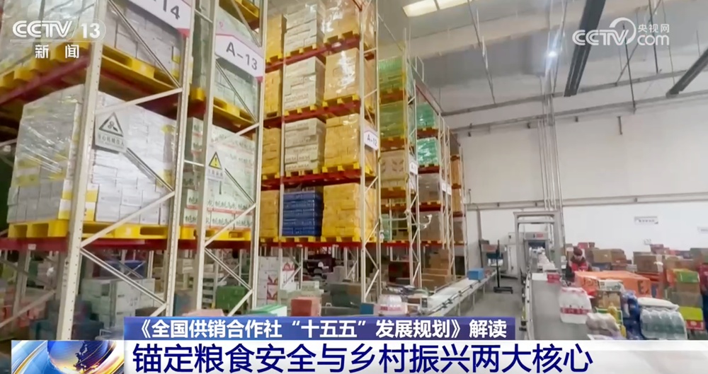 解读供销服务网“五年升级蓝图” 粮食安全与乡村振兴同步推进、双向赋能