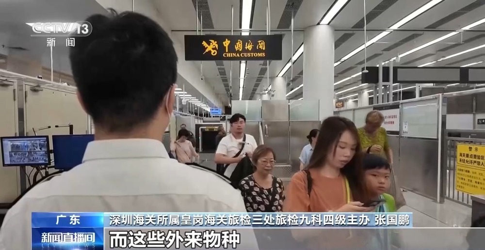 深圳福田口岸连续查获携带“异宠”案 深圳福田口岸连续查获携带“异宠”案