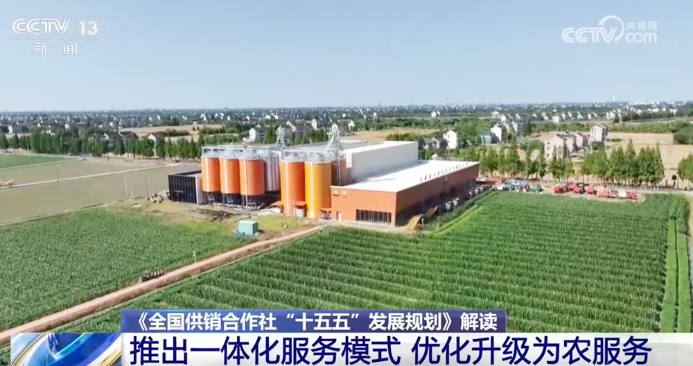 解读供销服务网“五年升级蓝图” 粮食安全与乡村振兴同步推进、双向赋能