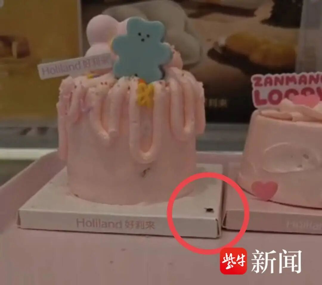 南京两家好利来面包柜内苍蝇飞舞，店员：“天气热，常有的事”