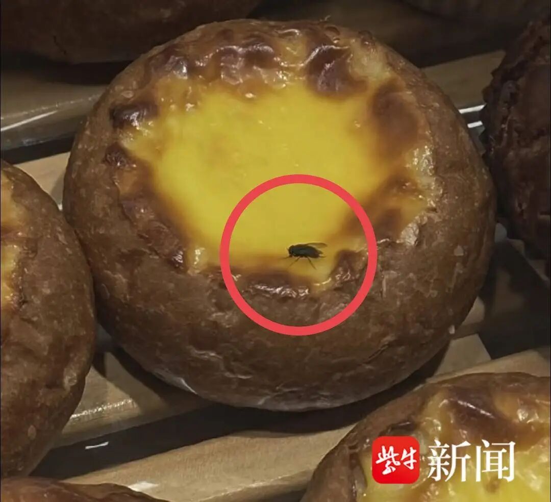 南京两家好利来面包柜内苍蝇飞舞，店员：“天气热，常有的事”