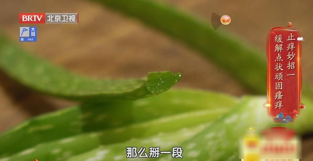 它被称为“天然青霉素”,夏天常用,抑菌消炎、美容抗衰老、通便,但吃不对有危险 它被称为“天然青霉素”,夏天常用,抑菌消炎、美容抗衰老、通便,但吃不对有危险