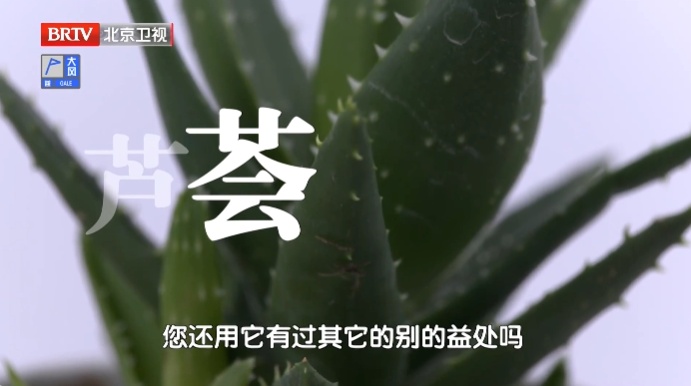 它被称为“天然青霉素”,夏天常用,抑菌消炎、美容抗衰老、通便,但吃不对有危险 它被称为“天然青霉素”,夏天常用,抑菌消炎、美容抗衰老、通便,但吃不对有危险