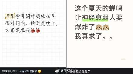 多人因蝉鸣听力受损,医生紧急提醒 多人因蝉鸣听力受损,医生紧急提醒
