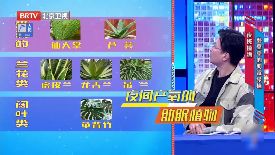它被称为“天然青霉素”,夏天常用,抑菌消炎、美容抗衰老、通便,但吃不对有危险 它被称为“天然青霉素”,夏天常用,抑菌消炎、美容抗衰老、通便,但吃不对有危险