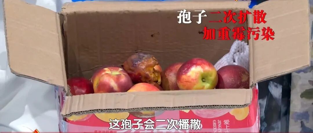 一种“仙家果”，甜到心里却低糖，生吃通便、熟吃养血，但这种情况千万别吃