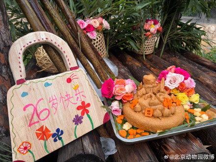 生日快乐！丫丫26岁生日蛋糕上好多寿桃