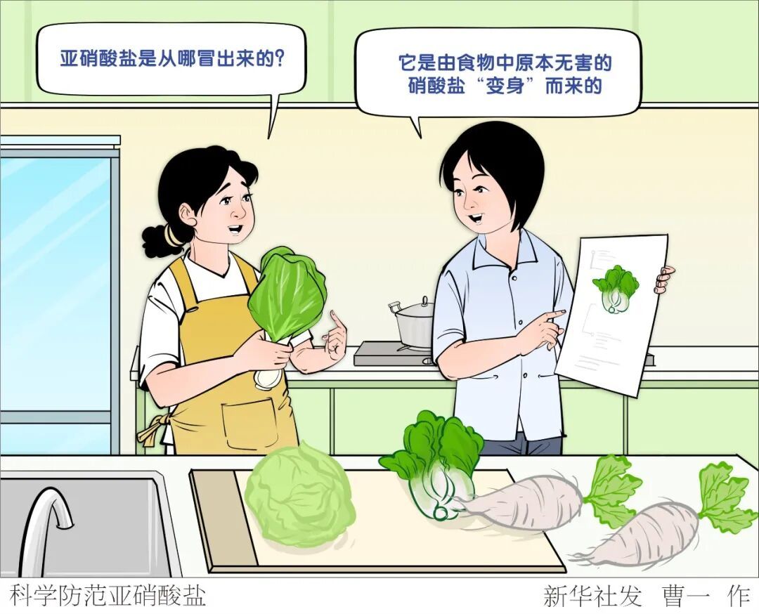 健康 | “一周备餐”,靠谱吗? 健康 | “一周备餐”,靠谱吗?