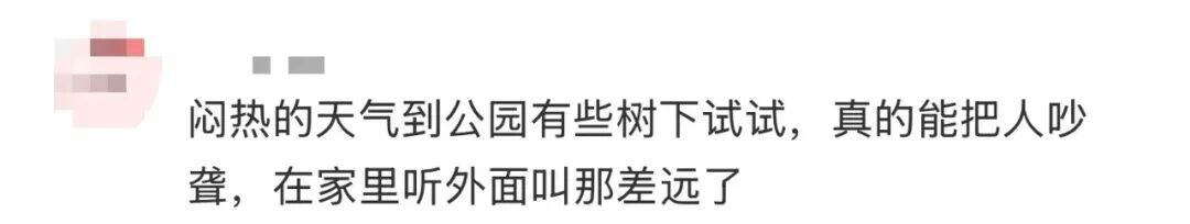 多人因蝉鸣听力受损,医生紧急提醒 多人因蝉鸣听力受损,医生紧急提醒