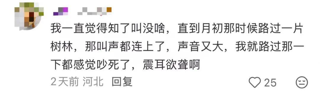 多人因蝉鸣听力受损,医生紧急提醒 多人因蝉鸣听力受损,医生紧急提醒