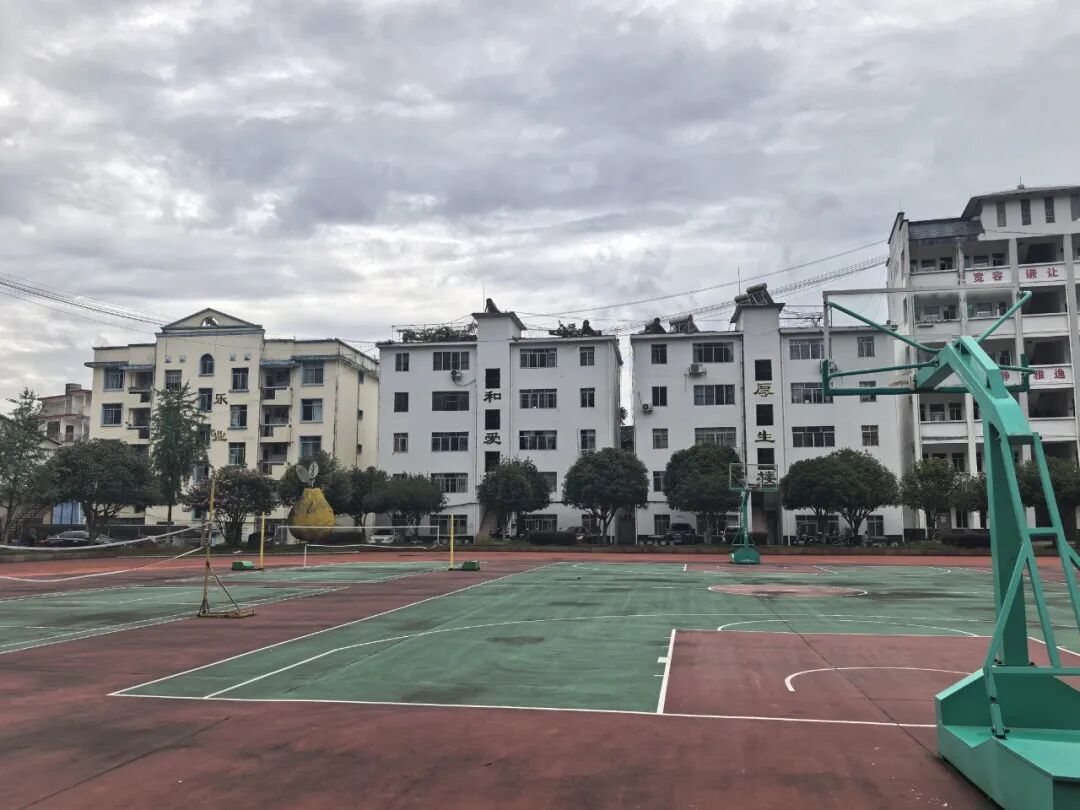 不是你猜想的那样——关于王虹的成长报告 不是你猜想的那样——关于王虹的成长报告