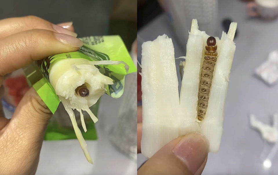 网友称在笋干里吃出一只完整的竹虫,厂家:竹笋原生态难避免,已与消费者协商 网友称在笋干里吃出一只完整的竹虫,厂家:竹笋原生态难避免,已与消费者协商