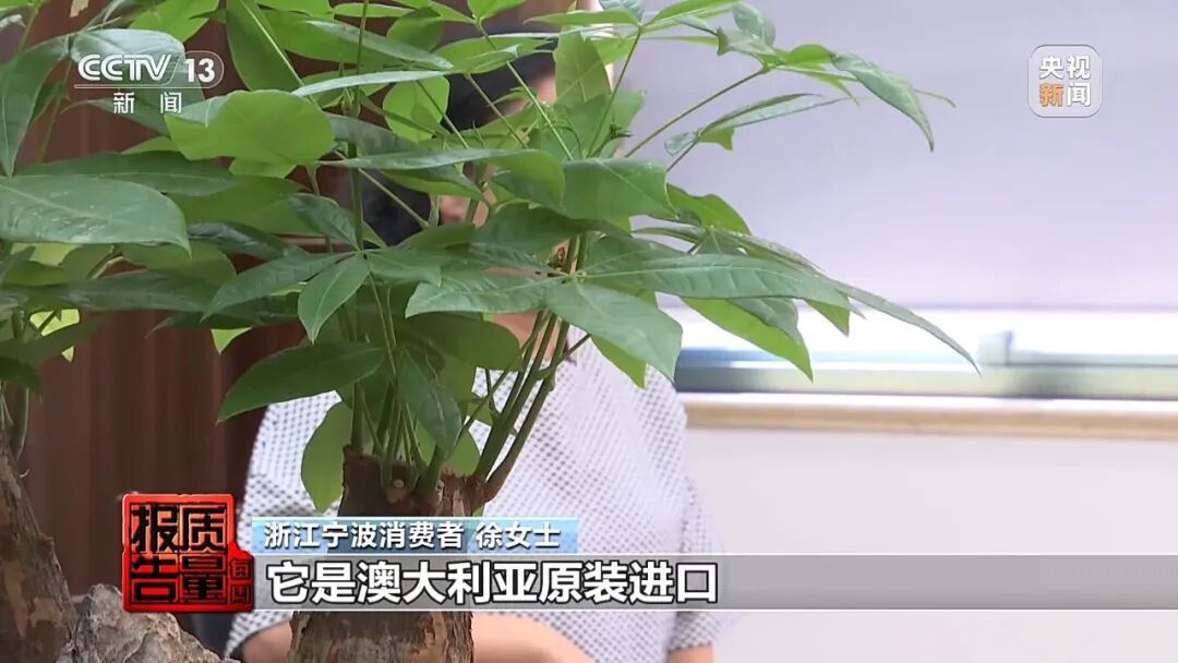 成本30元卖320元,央视起底“假洋品牌”黑产链:澳洲原装进口的保健品,竟是国内代工的普通食品;配方没有人体试食,请外籍模特假扮专家 成本30元卖320元,央视起底“假洋品牌”黑产链:澳洲原装进口的保健品,竟是国内代工的普通食品;配方没有人体试食,请外籍模特假扮专家