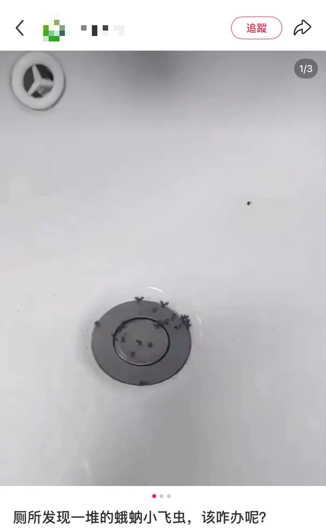 千万别拍!厕所常见!深圳曾有人被迫摘除眼球,医生提醒 千万别拍!厕所常见!深圳曾有人被迫摘除眼球,医生提醒