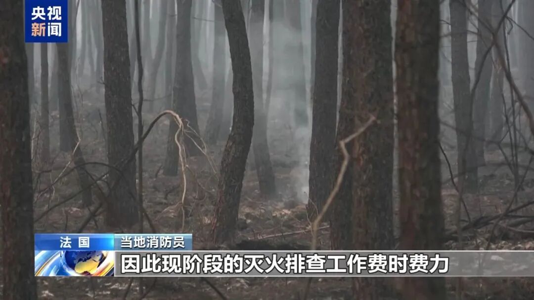知名好莱坞男星一家连夜撤离 ！"不知能否挺过这一关…"