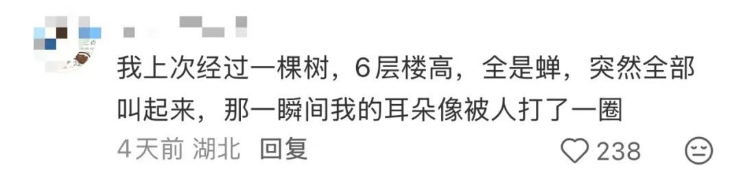 多人因蝉鸣听力受损,医生紧急提醒 多人因蝉鸣听力受损,医生紧急提醒