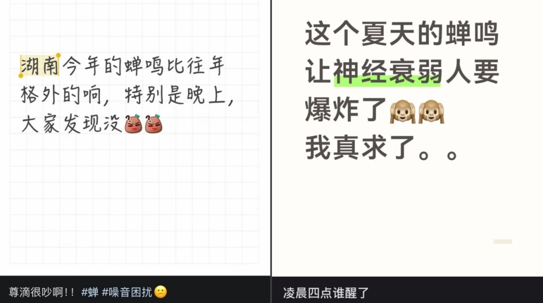 多人因蝉鸣听力受损,医生紧急提醒 多人因蝉鸣听力受损,医生紧急提醒