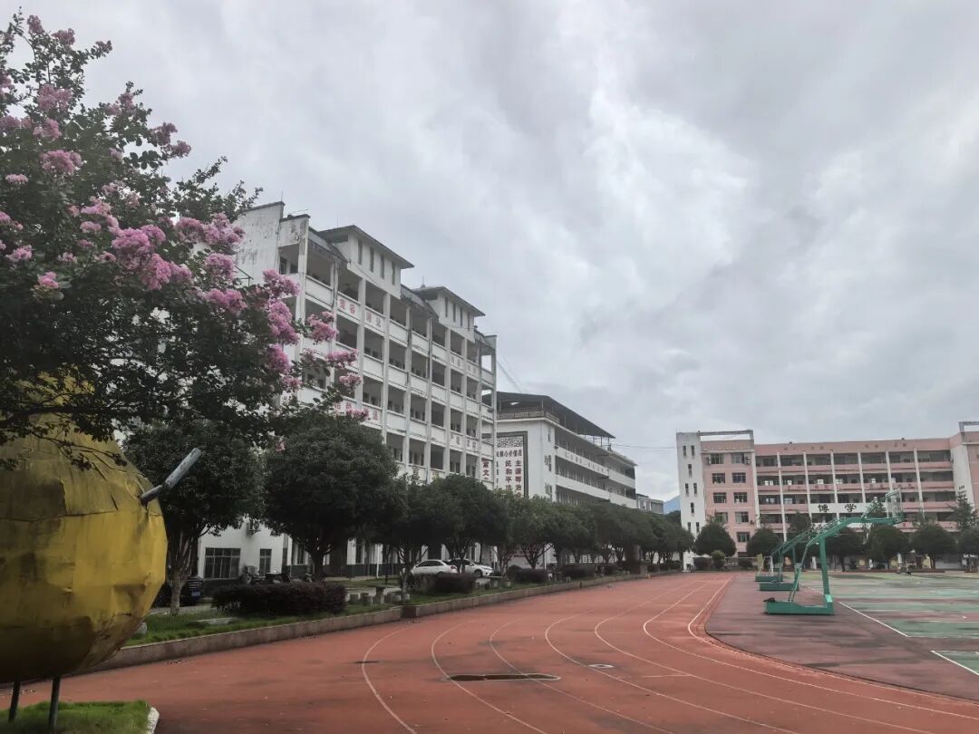 不是你猜想的那样——关于王虹的成长报告 不是你猜想的那样——关于王虹的成长报告