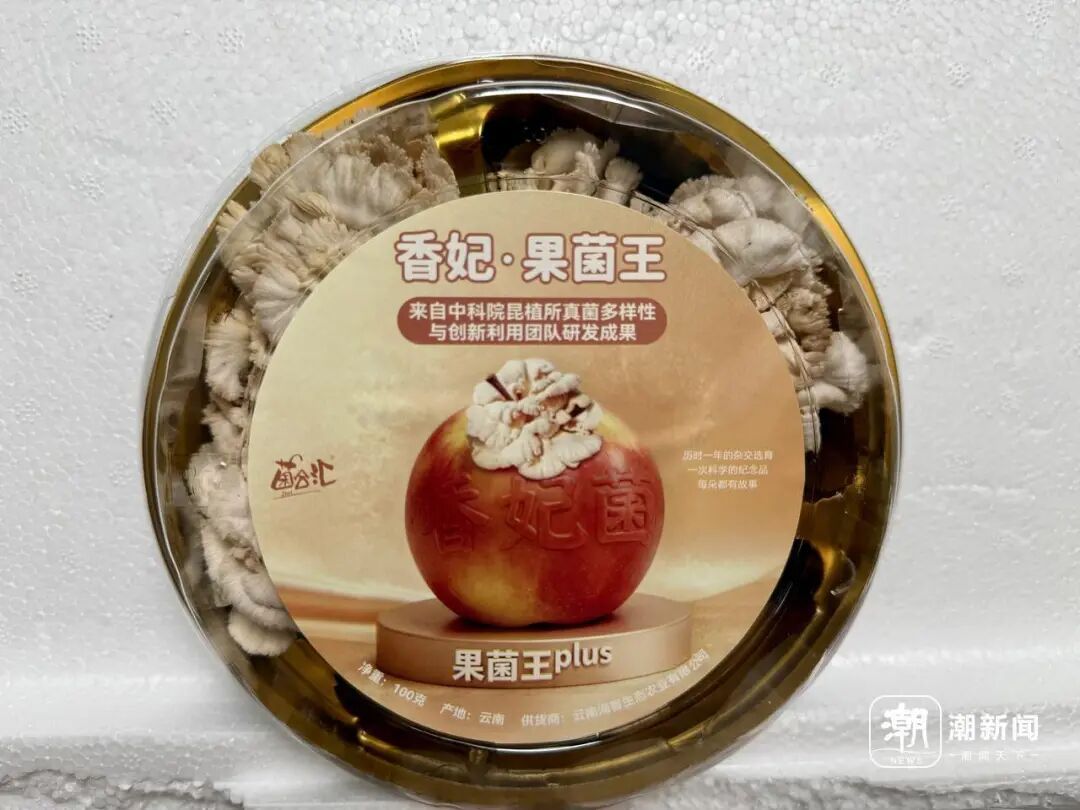 全网追更的“果菌王”,上新了!两年前,浙江网友一颗“烂苹果”被中科院博士求购,后来的事谁都没想到…… 全网追更的“果菌王”,上新了!两年前,浙江网友一颗“烂苹果”被中科院博士求购,后来的事谁都没想到……