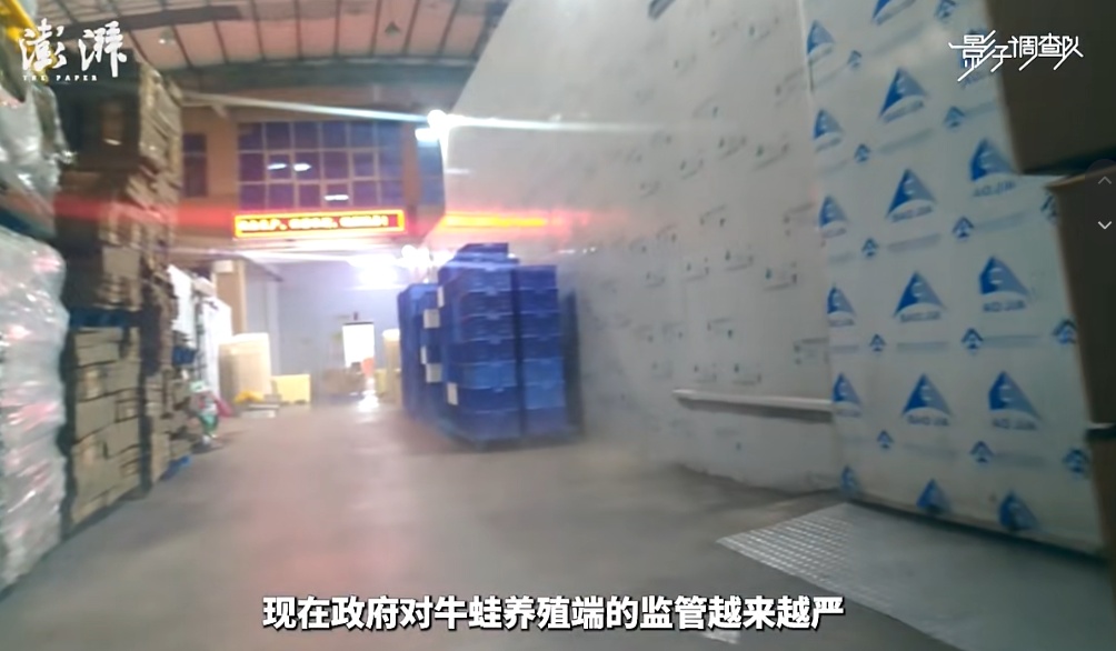 多地曝抗生素牛蛙,“超标的卖给外卖店…”官方通报→ 多地曝抗生素牛蛙,“超标的卖给外卖店…”官方通报→