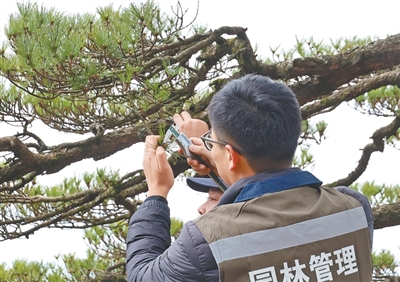 “景点轮休”之外,黄山保护生态还有这些招 “景点轮休”之外,黄山保护生态还有这些招