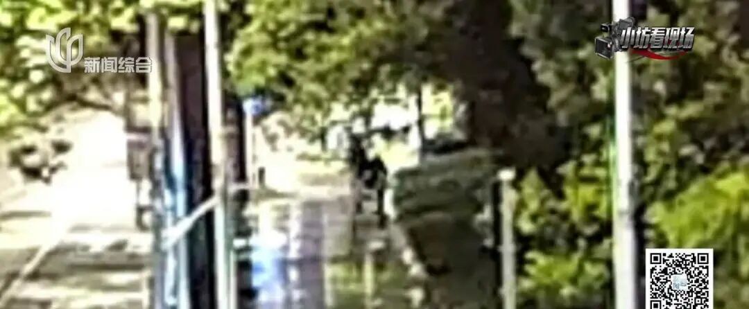 地铁站附近绿化带中,惊现数万根香烟!男子逃回老家,被上海警方连夜抓回 地铁站附近绿化带中,惊现数万根香烟!男子逃回老家,被上海警方连夜抓回